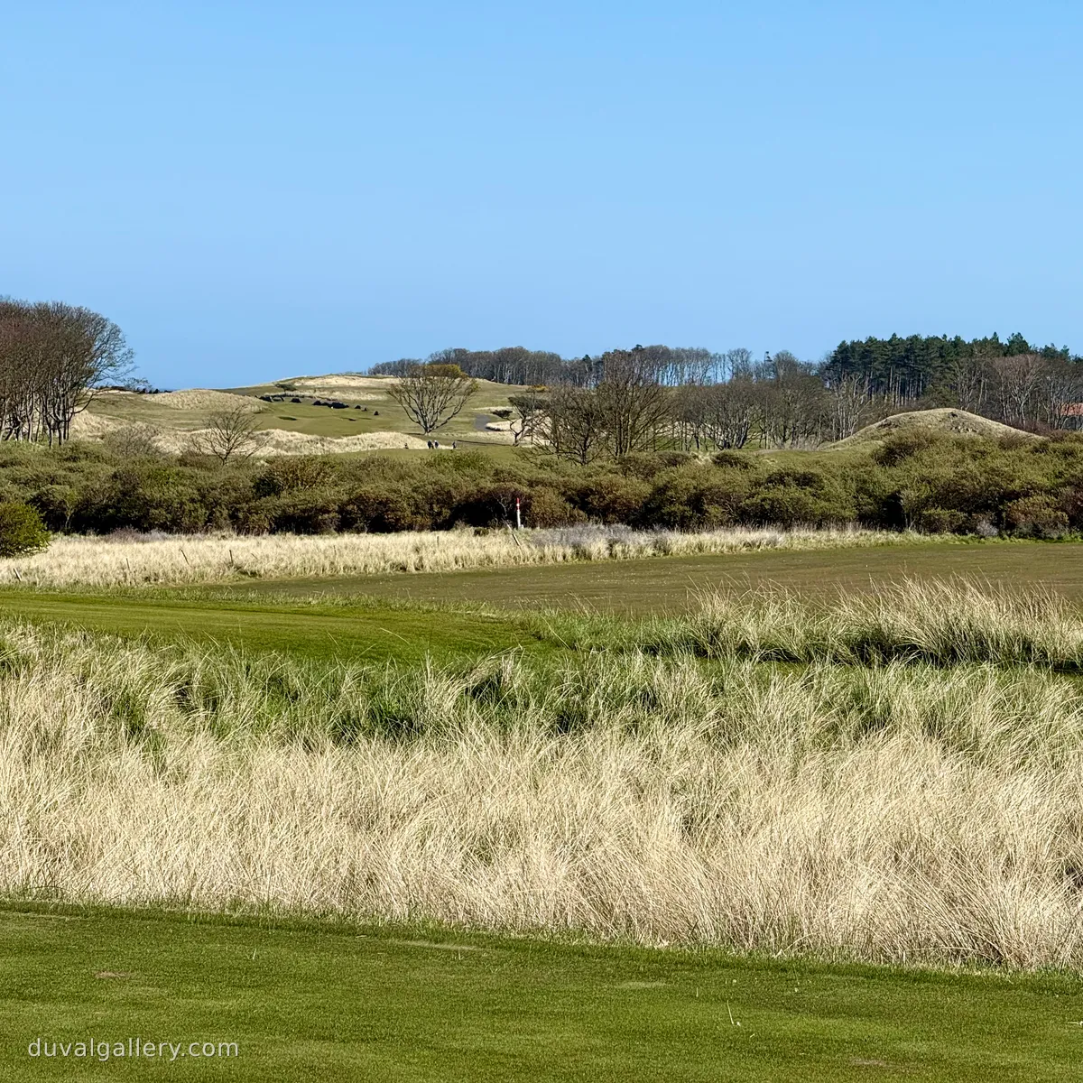 2026-04-14_11.19.04.jpg
