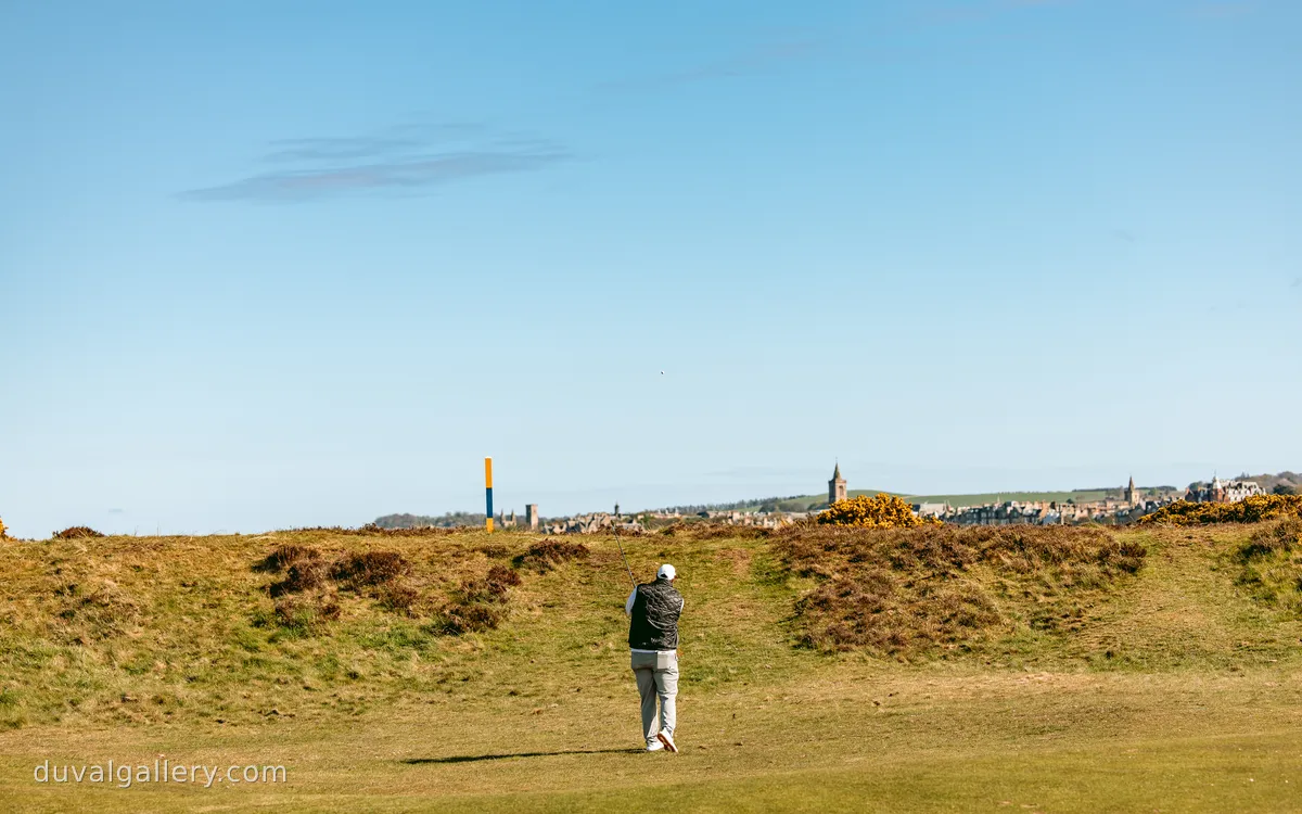 OldCourseReverse42.jpg