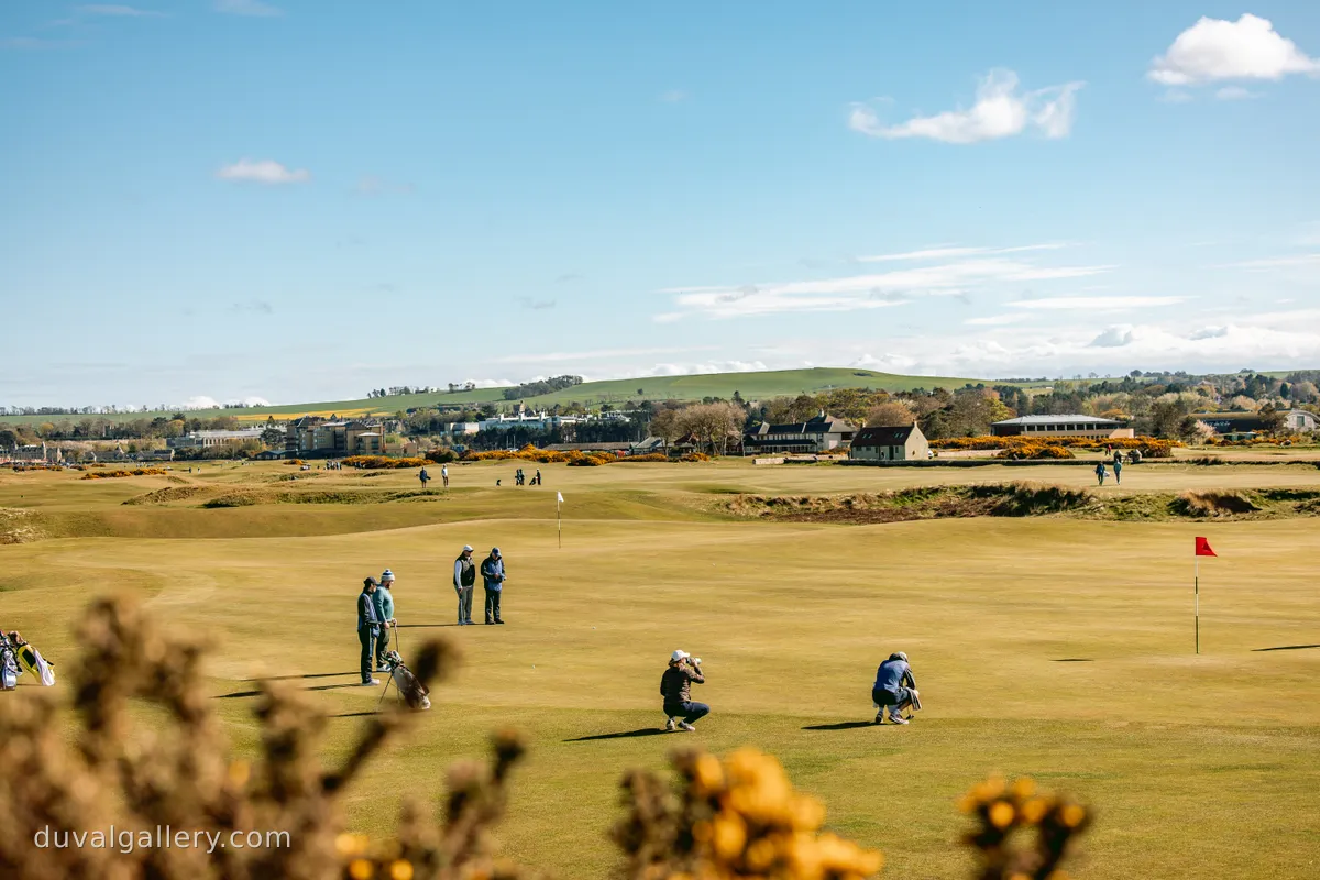 OldCourseReverse40.jpg
