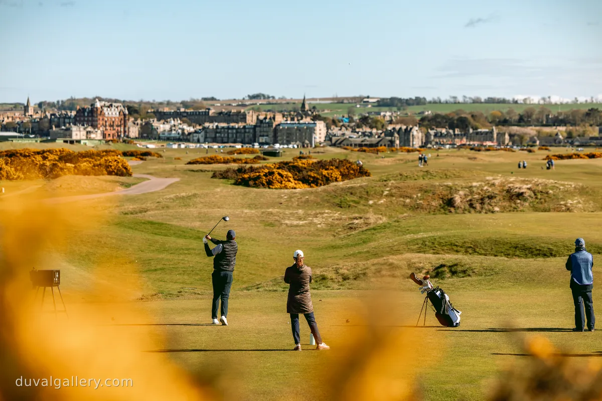 OldCourseReverse39.jpg